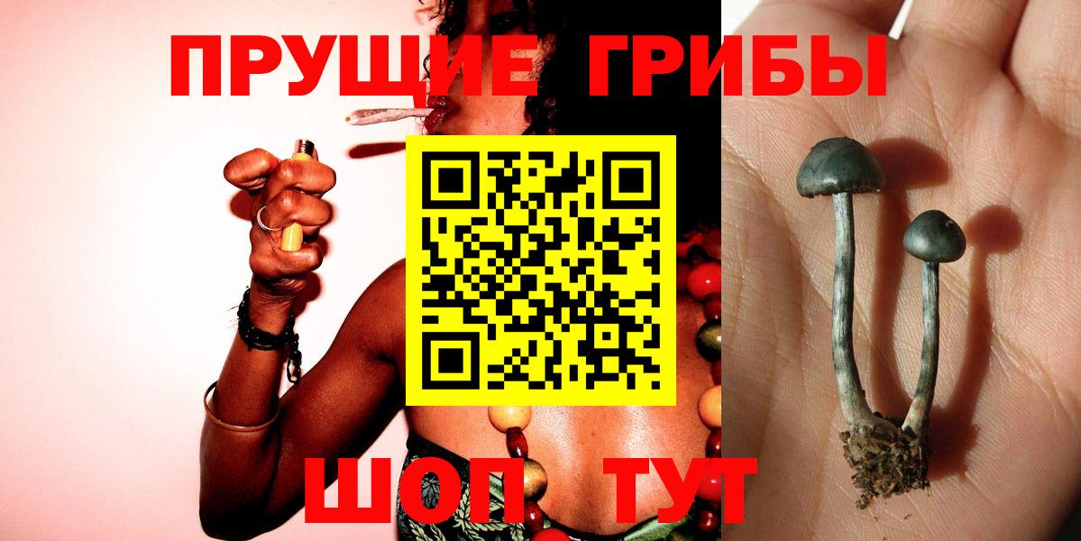 Псилоцибиновые грибы Cubensis  Вход с VPN  Сертолово 